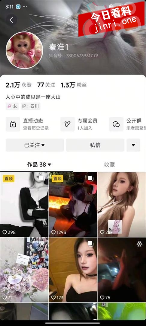 秦淮 2.jpg