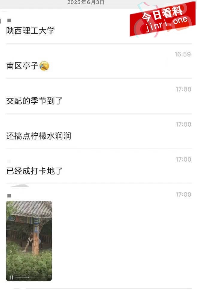 陕西理工大学南区亭子小情侣口嗨事件 2.jpg