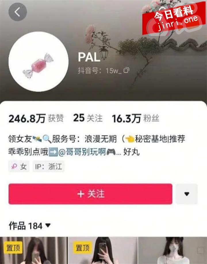 PAL 2.jpg
