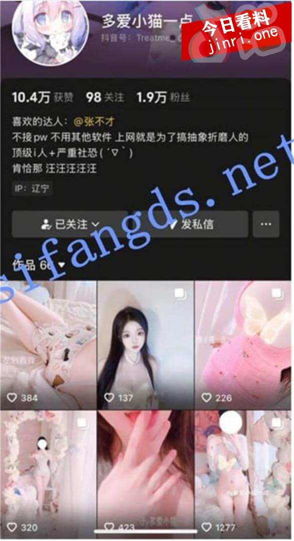 多爱小猫一点 2.jpg