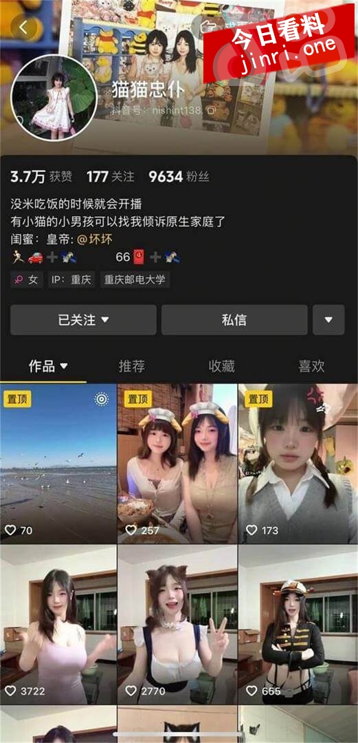 猫猫忠仆 2.jpg